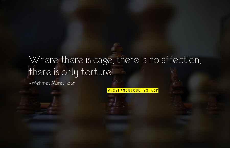 Bobby Orr Quotes By Mehmet Murat Ildan: Where there is cage, there is no affection, Bobby Orr Quotes By Mehmet Murat Ildan: Where there is cage, there is no affection,