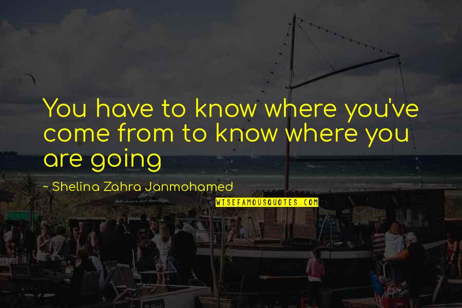 Bobby Pellitt Quotes By Shelina Zahra Janmohamed: You have to know where you've come from