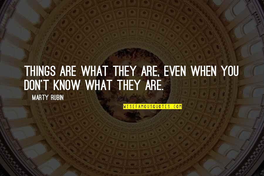 Bobby Stuckey Quotes By Marty Rubin: Things are what they are, even when you