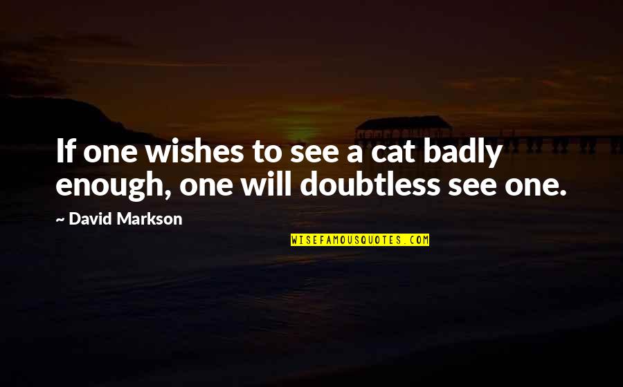 Bobbys World Quotes By David Markson: If one wishes to see a cat badly
