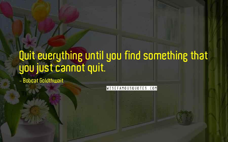Bobcat Goldthwait quotes: Quit everything until you find something that you just cannot quit.