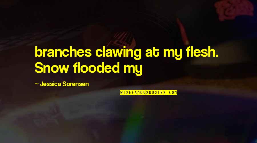 Bobenko Real Estate Quotes By Jessica Sorensen: branches clawing at my flesh. Snow flooded my Bobenko Real Estate Quotes By Jessica Sorensen: branches clawing at my flesh. Snow flooded my