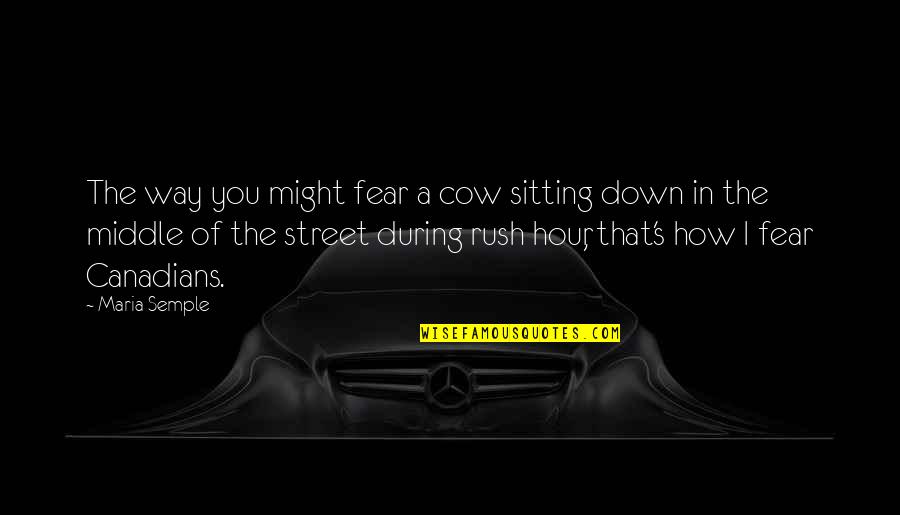 Boberal Dog Quotes By Maria Semple: The way you might fear a cow sitting