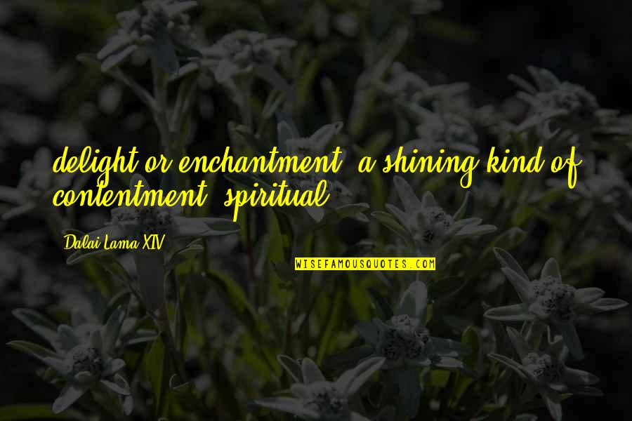 Bocanegra Papasan Quotes By Dalai Lama XIV: delight or enchantment (a shining kind of contentment) Bocanegra Papasan Quotes By Dalai Lama XIV: delight or enchantment (a shining kind of contentment)