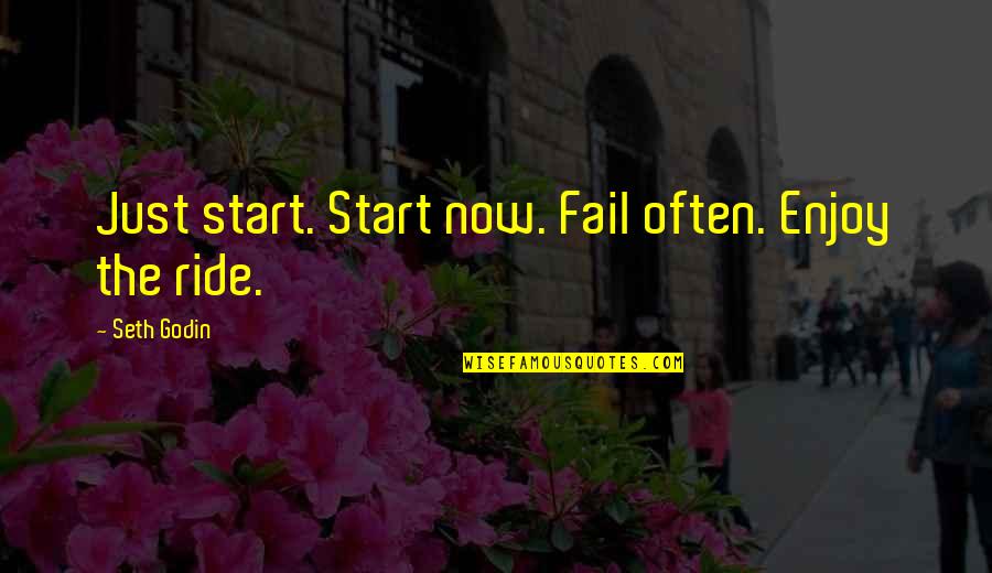 Bocchini Cheese Quotes By Seth Godin: Just start. Start now. Fail often. Enjoy the