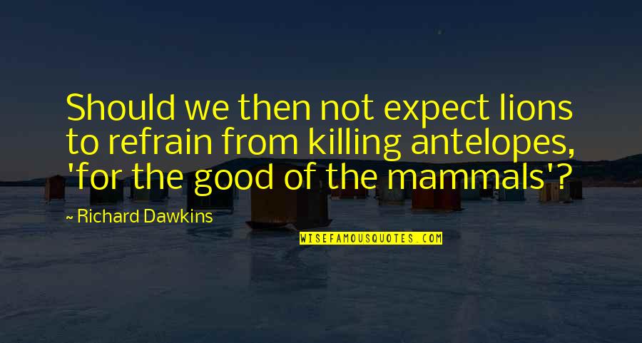 Bochco Actress Quotes By Richard Dawkins: Should we then not expect lions to refrain Bochco Actress Quotes By Richard Dawkins: Should we then not expect lions to refrain