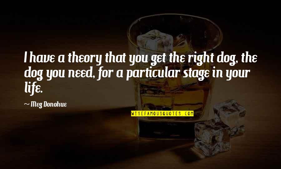 Bochumer Musiksommer Quotes By Meg Donohue: I have a theory that you get the Bochumer Musiksommer Quotes By Meg Donohue: I have a theory that you get the