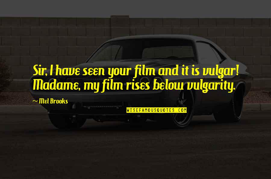 Bodelin Proprompter Quotes By Mel Brooks: Sir, I have seen your film and it