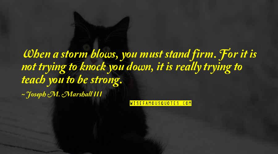 Bodenstab Obituary Quotes By Joseph M. Marshall III: When a storm blows, you must stand firm.