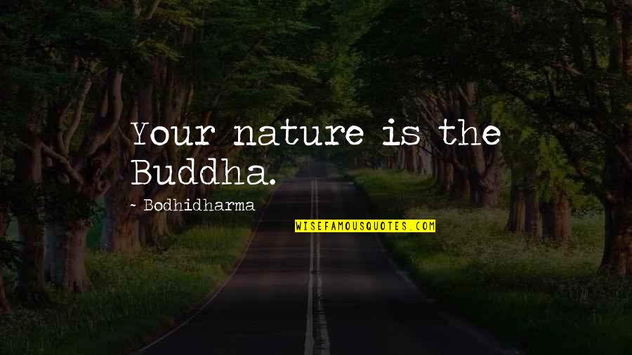 Bodhidharma's Quotes By Bodhidharma: Your nature is the Buddha.