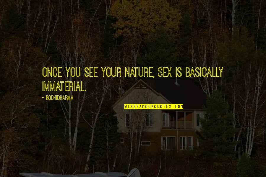 Bodhidharma's Quotes By Bodhidharma: Once you see your nature, sex is basically