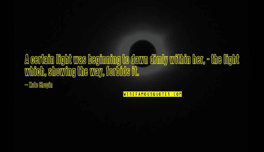 Bodhran Irish Drum Quotes By Kate Chopin: A certain light was beginning to dawn dimly
