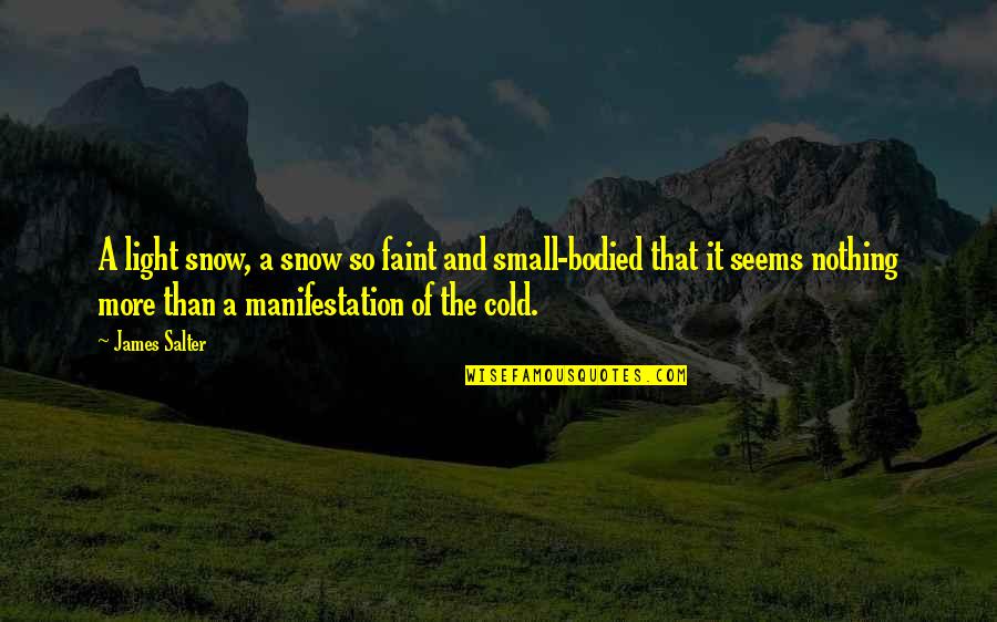 Bodied Quotes By James Salter: A light snow, a snow so faint and