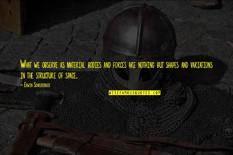 Bodies As Bodies Quotes By Erwin Schrodinger: What we observe as material bodies and forces Bodies As Bodies Quotes By Erwin Schrodinger: What we observe as material bodies and forces