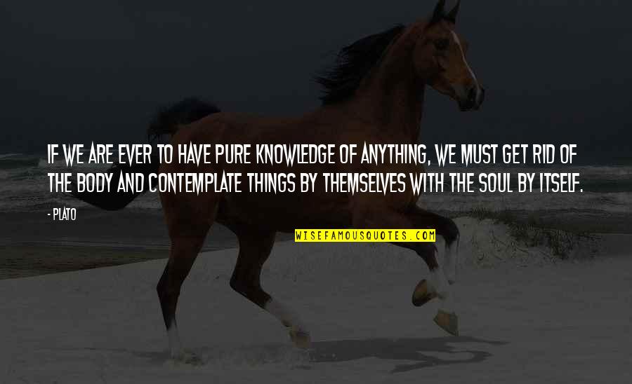 Body And Soul Quotes By Plato: If we are ever to have pure knowledge