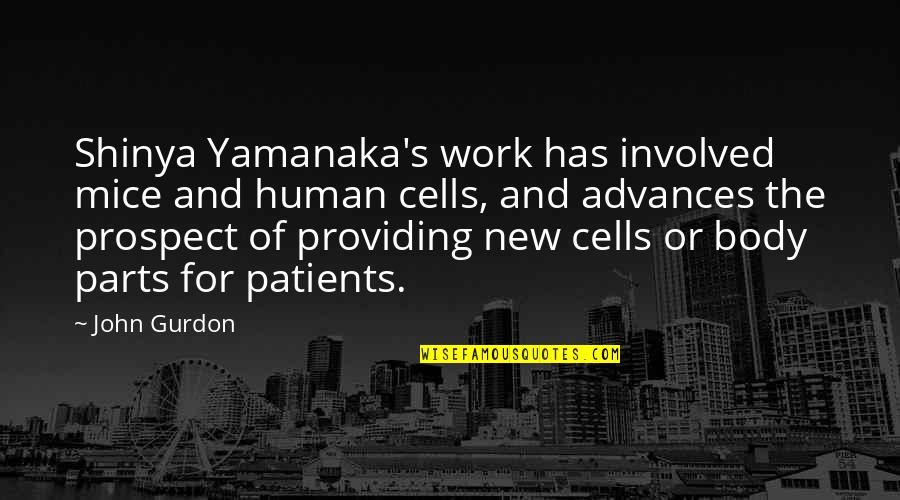 Body Cells Quotes By John Gurdon: Shinya Yamanaka's work has involved mice and human Body Cells Quotes By John Gurdon: Shinya Yamanaka's work has involved mice and human