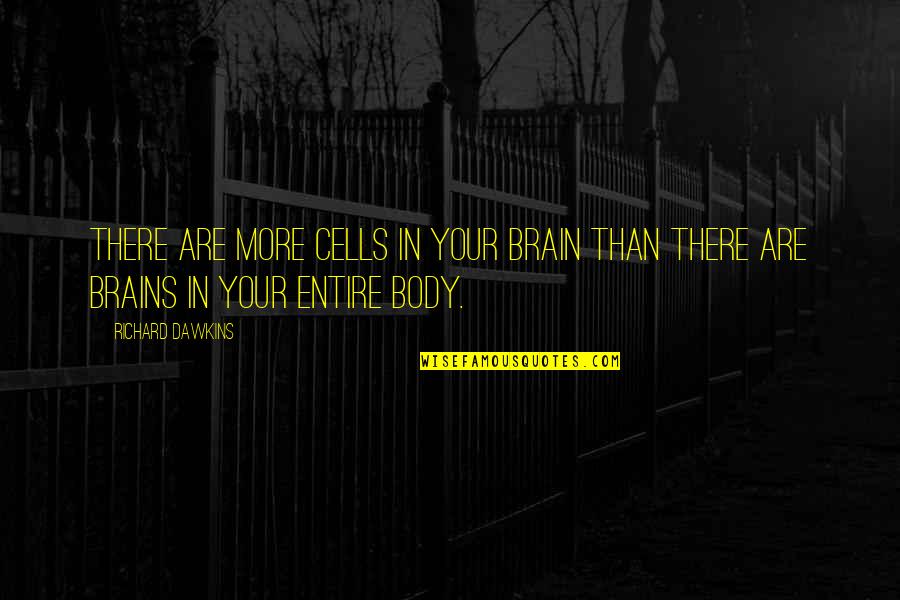 Body Cells Quotes By Richard Dawkins: There are more cells in your brain than