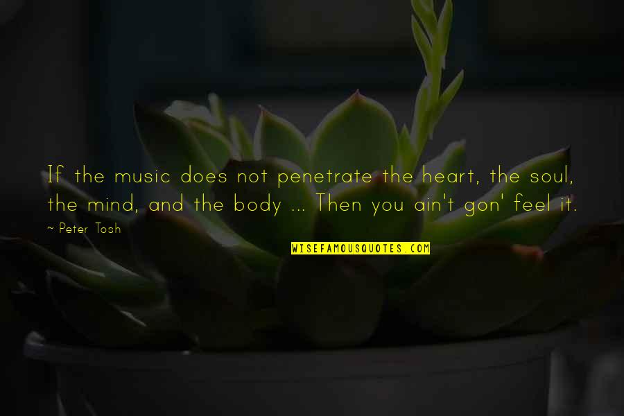 Body Heart And Soul Quotes By Peter Tosh: If the music does not penetrate the heart,