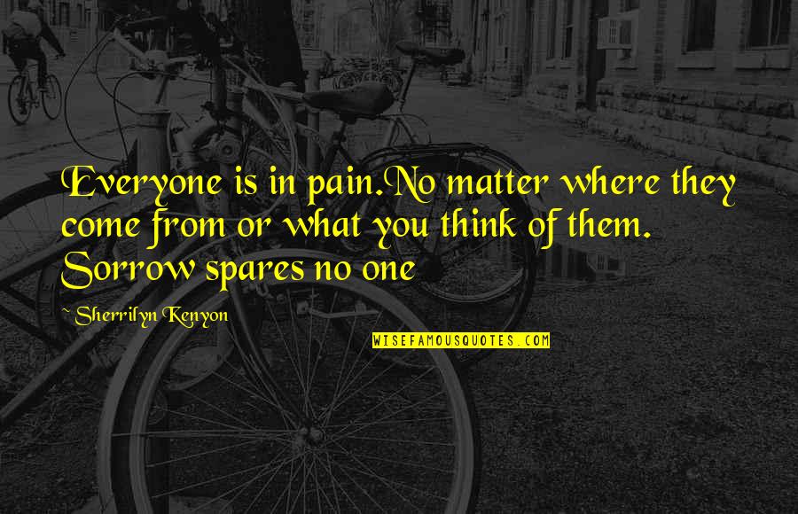 Body Image Inspiration Quotes By Sherrilyn Kenyon: Everyone is in pain.No matter where they come