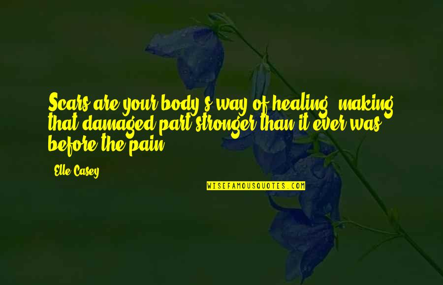 Body In Pain Quotes By Elle Casey: Scars are your body's way of healing, making