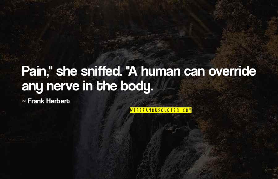 Body In Pain Quotes By Frank Herbert: Pain," she sniffed. "A human can override any