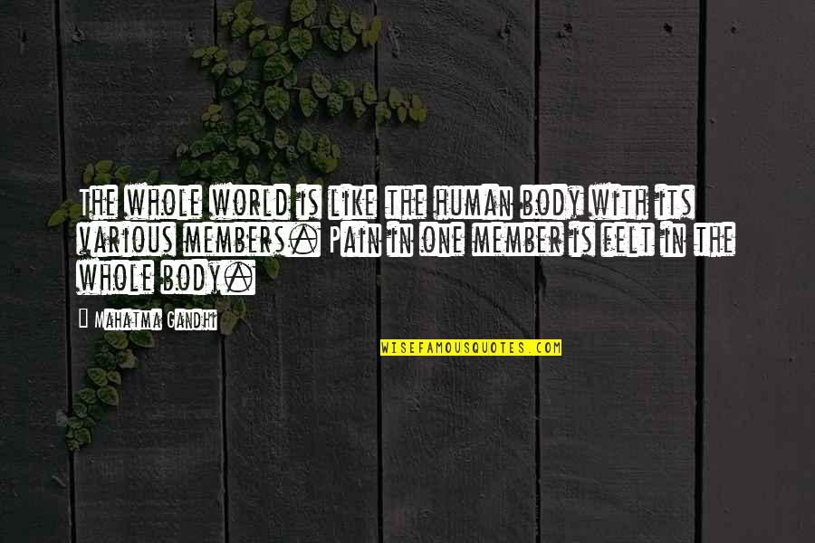Body In Pain Quotes By Mahatma Gandhi: The whole world is like the human body