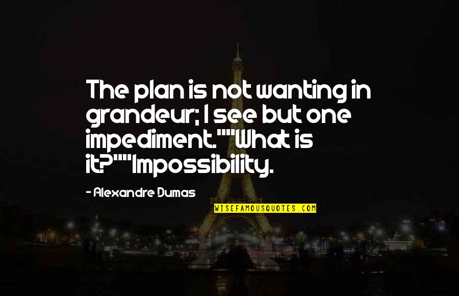 Body Mind Centering Quotes By Alexandre Dumas: The plan is not wanting in grandeur; I