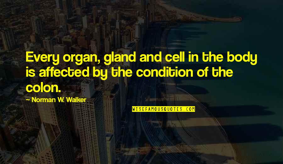 Body Organ Quotes By Norman W. Walker: Every organ, gland and cell in the body
