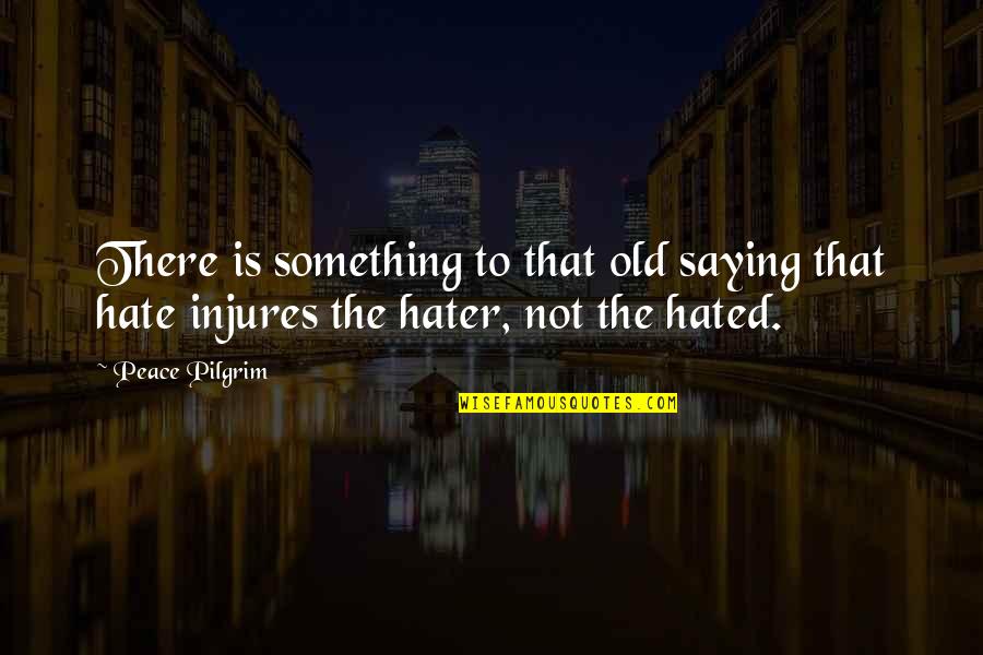 Bodybuilding Motivation Ferrigno Quotes By Peace Pilgrim: There is something to that old saying that