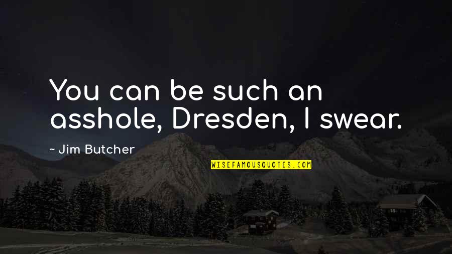 Bodyslam 13 Quotes By Jim Butcher: You can be such an asshole, Dresden, I