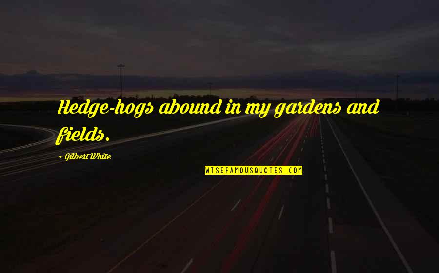 Boeckelmann Quotes By Gilbert White: Hedge-hogs abound in my gardens and fields. Boeckelmann Quotes By Gilbert White: Hedge-hogs abound in my gardens and fields.