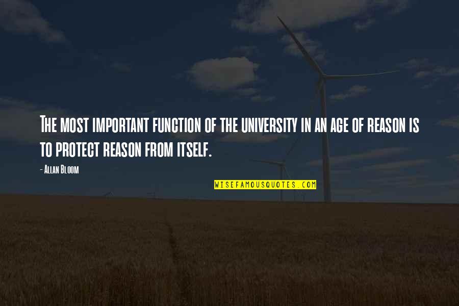 Boedigheimer Lake Quotes By Allan Bloom: The most important function of the university in Boedigheimer Lake Quotes By Allan Bloom: The most important function of the university in