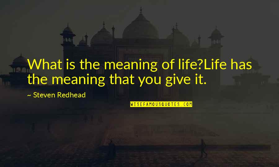 Boegh Plastering Quotes By Steven Redhead: What is the meaning of life?Life has the