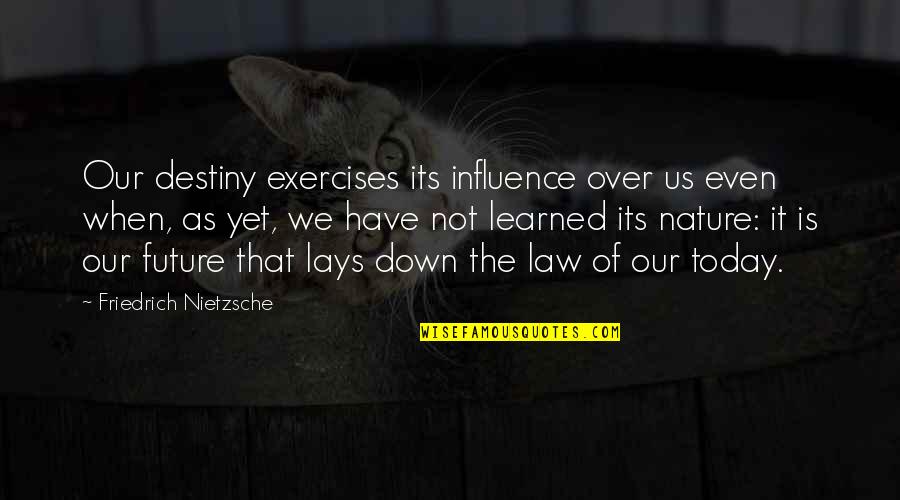 Boeken Lezen Quotes By Friedrich Nietzsche: Our destiny exercises its influence over us even