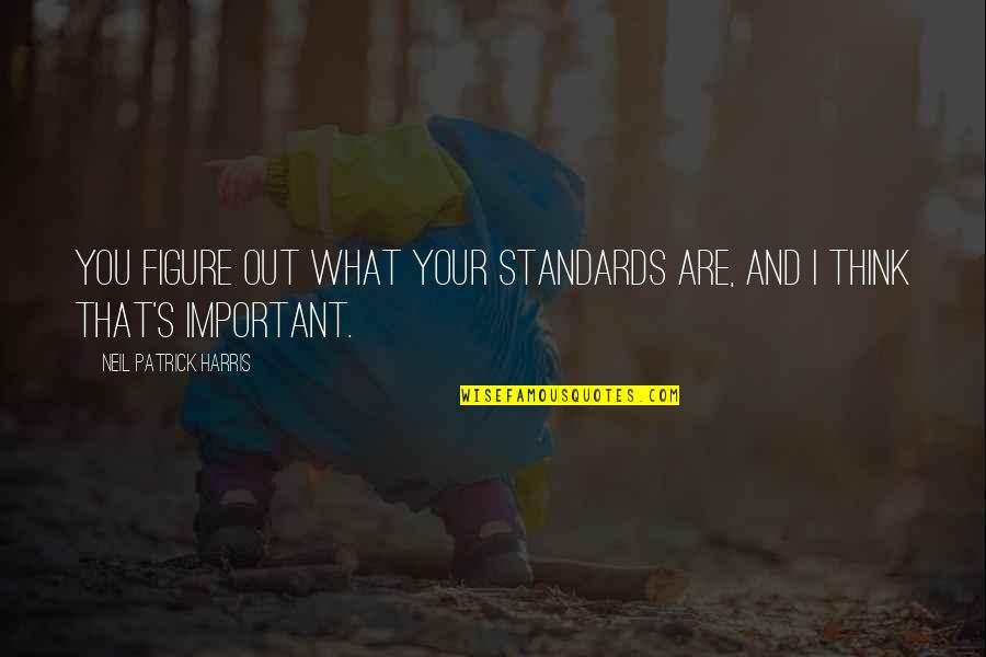 Boelskifte Advokater Quotes By Neil Patrick Harris: You figure out what your standards are, and