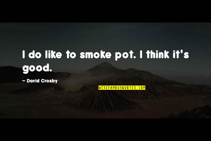 Boerio Youngstown Quotes By David Crosby: I do like to smoke pot. I think