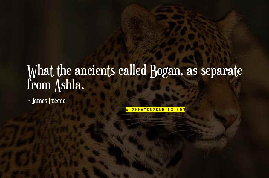 Bogan Quotes By James Luceno: What the ancients called Bogan, as separate from Bogan Quotes By James Luceno: What the ancients called Bogan, as separate from