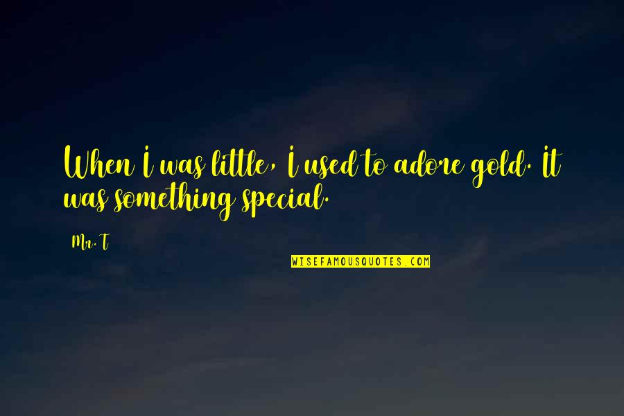 Bogatin Hribi Quotes By Mr. T: When I was little, I used to adore