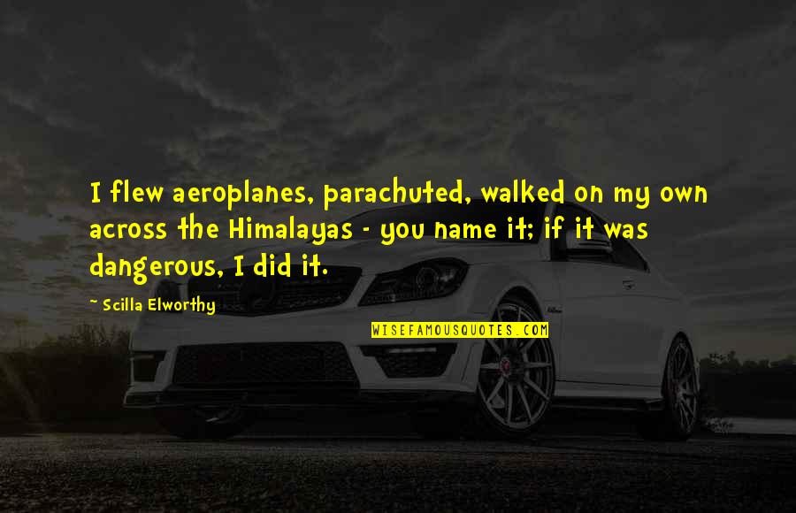 Bogdons Peppermint Quotes By Scilla Elworthy: I flew aeroplanes, parachuted, walked on my own Bogdons Peppermint Quotes By Scilla Elworthy: I flew aeroplanes, parachuted, walked on my own
