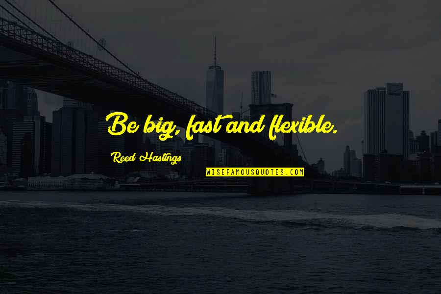 Bogers Seeds Quotes By Reed Hastings: Be big, fast and flexible.