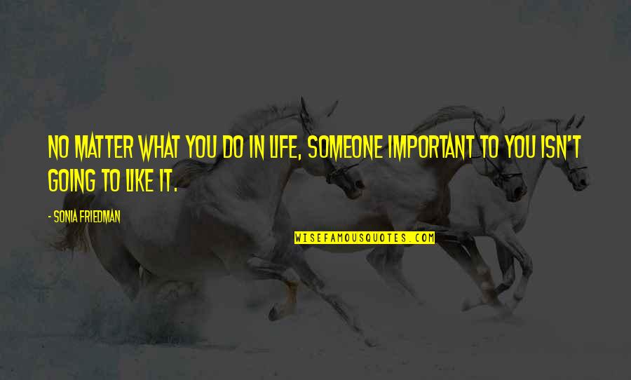 Bogertophis Quotes By Sonia Friedman: No matter what you do in life, someone