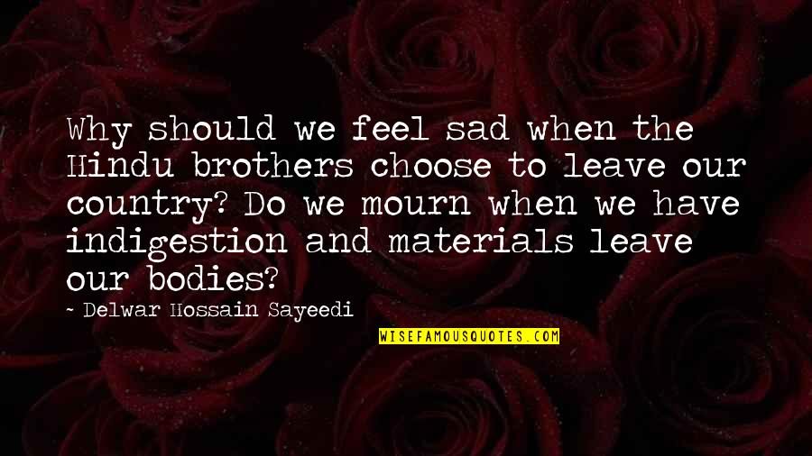 Bogie Bowles Quotes By Delwar Hossain Sayeedi: Why should we feel sad when the Hindu