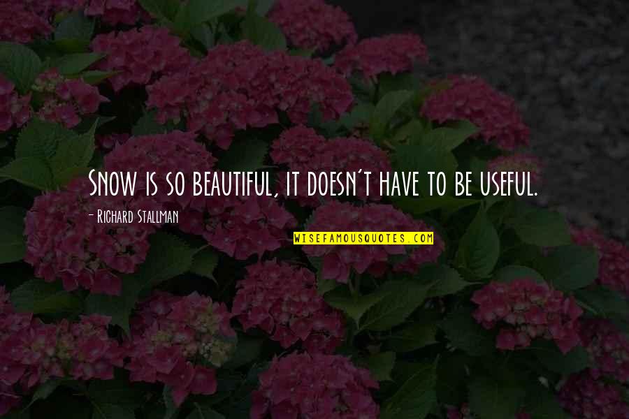 Bogino Dolgionii Quotes By Richard Stallman: Snow is so beautiful, it doesn't have to