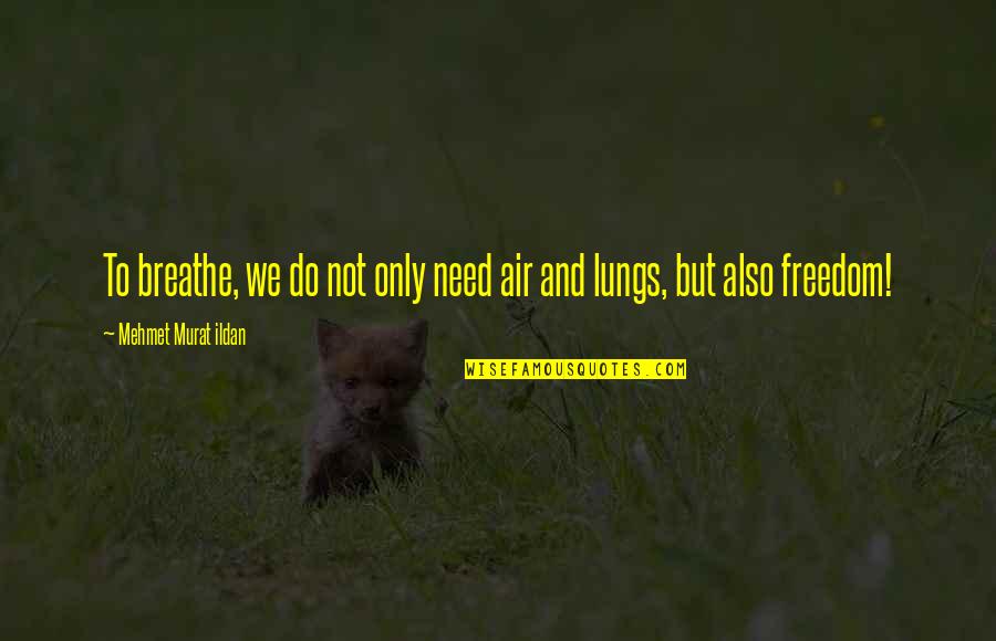 Bogons Quotes By Mehmet Murat Ildan: To breathe, we do not only need air Bogons Quotes By Mehmet Murat Ildan: To breathe, we do not only need air