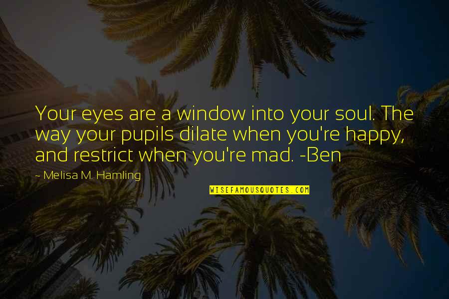Bogosian Eric Quotes By Melisa M. Hamling: Your eyes are a window into your soul.