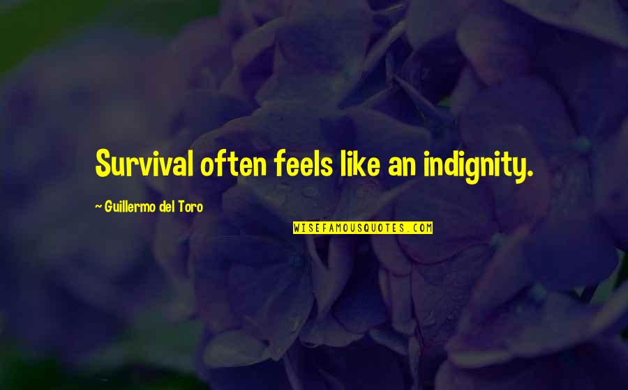 Bogowie Egipscy Quotes By Guillermo Del Toro: Survival often feels like an indignity.