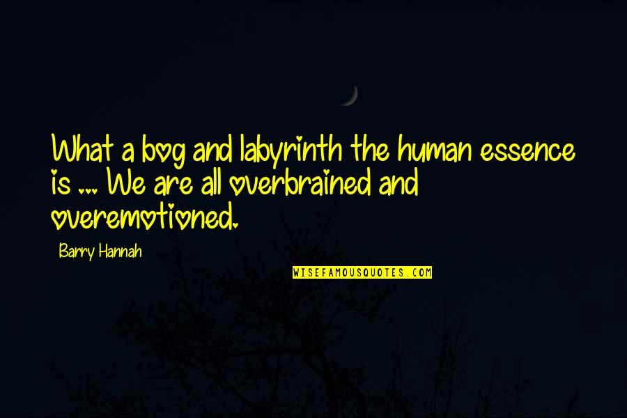 Bogs Quotes By Barry Hannah: What a bog and labyrinth the human essence