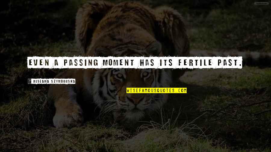 Bohlander Mortuary Quotes By Wislawa Szymborska: Even a passing moment has its fertile past.