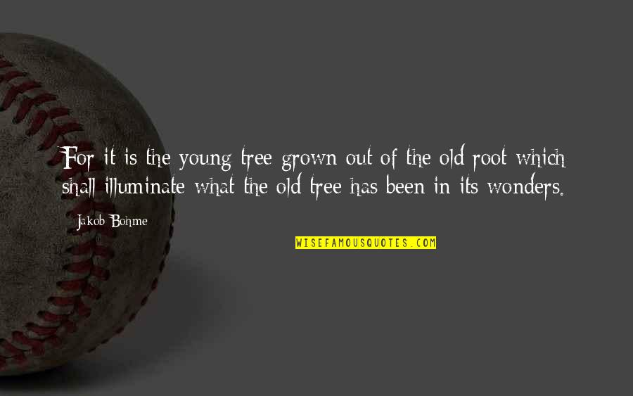 Bohme Quotes By Jakob Bohme: For it is the young tree grown out Bohme Quotes By Jakob Bohme: For it is the young tree grown out