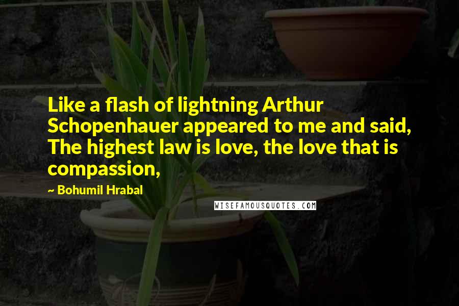 Bohumil Hrabal quotes: Like a flash of lightning Arthur Schopenhauer appeared to me and said, The highest law is love, the love that is compassion,